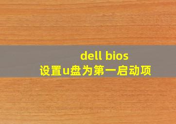 dell bios设置u盘为第一启动项